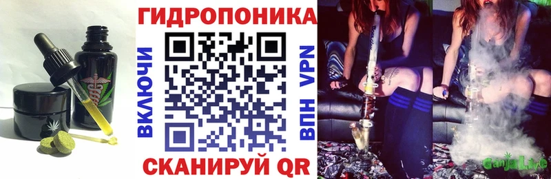 закладка  darknet как зайти  Cannafood конопля  Маркс  omg  