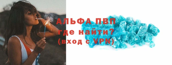 прущие грибы Ладушкин
