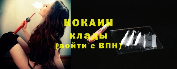 ПСИЛОЦИБИНОВЫЕ ГРИБЫ Верея