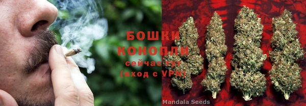 PSILOCYBIN Лихославль