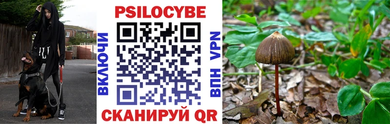 хочу   Маркс  Псилоцибиновые грибы Cubensis 