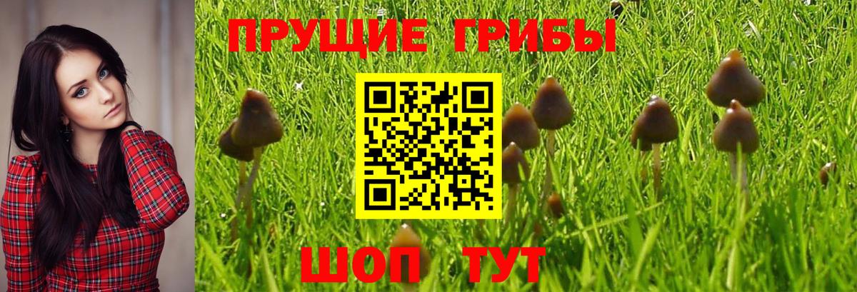 Псилоцибиновые грибы мухоморы  Маркс 