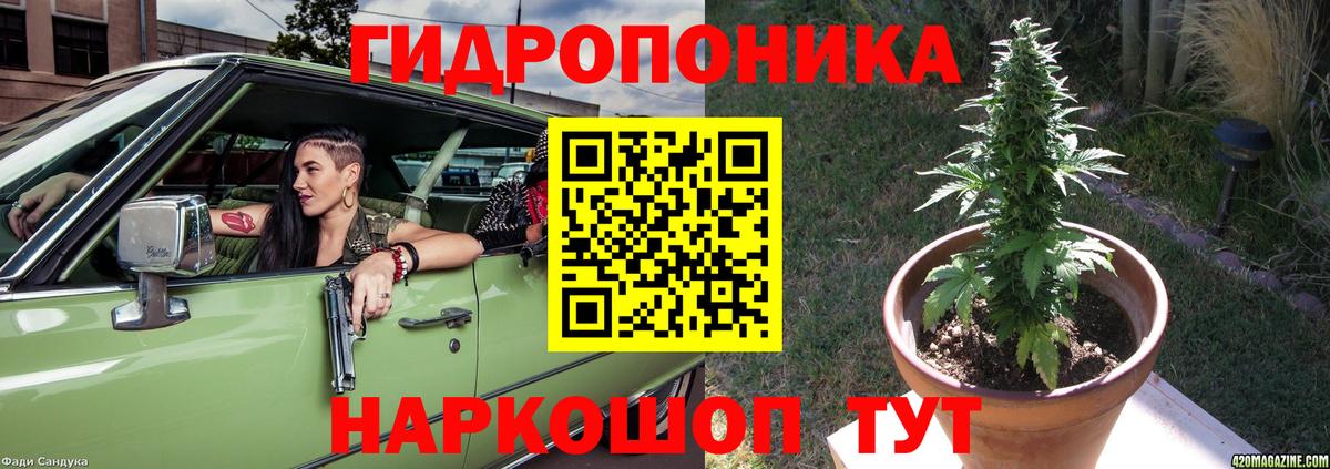 Бошки марихуана Bruce Banner  Каннабис VHQ  Каннабис Ganja  Каннабис тримм  Маркс 